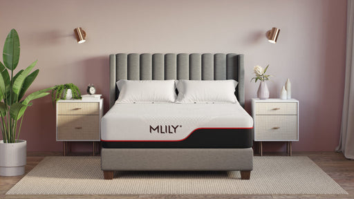 MLILY Dream image